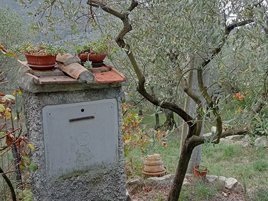 Immagine 5 di Terreno agricolo in vendita  a Calenzano