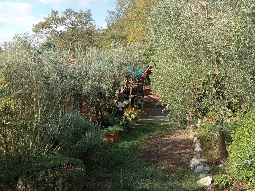 Immagine 7 di Terreno agricolo in vendita  a Calenzano