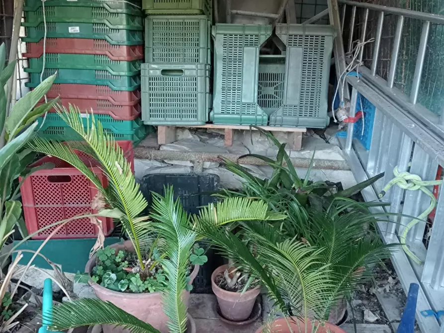 Immagine 6 di Terreno agricolo in vendita  a Calenzano