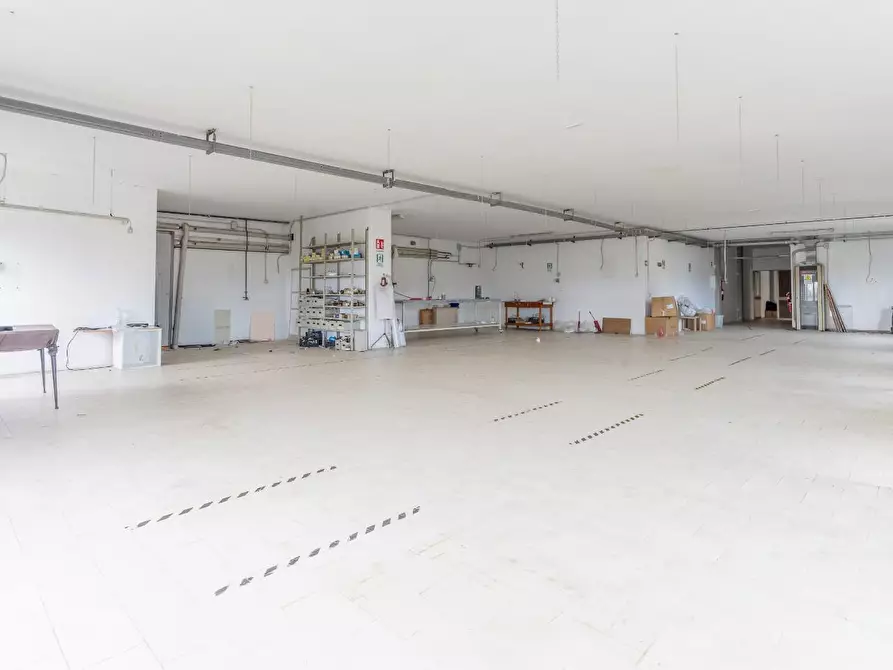 Immagine 8 di Attività artigianale in vendita  a Capraia E Limite