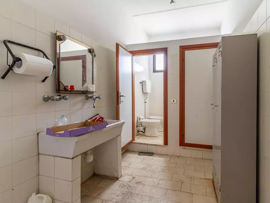 Immagine 17 di Attività artigianale in vendita  a Capraia E Limite