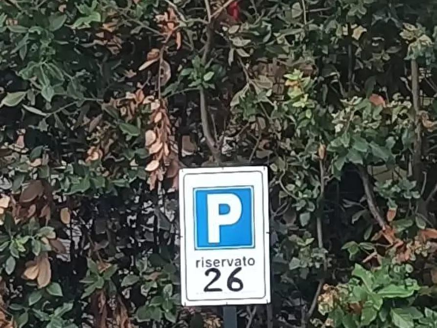 Immagine 11 di Appartamento in affitto  a Rosignano Marittimo