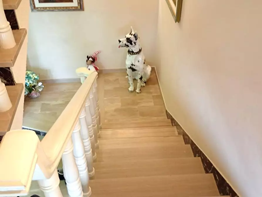 Immagine 11 di Villa in vendita  a Montopoli In Val D'arno