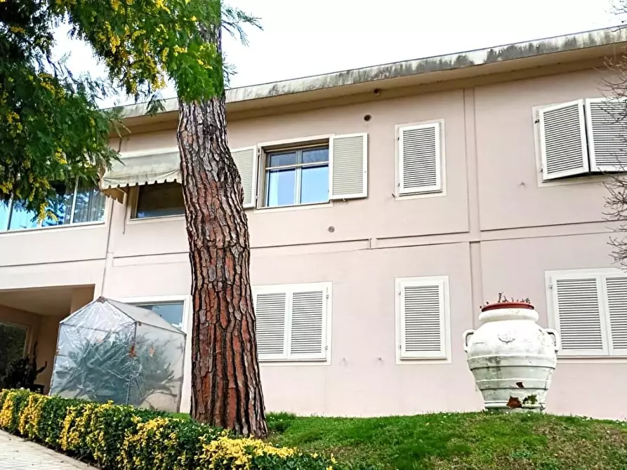 Immagine 3 di Villa in vendita  a Montopoli In Val D'arno