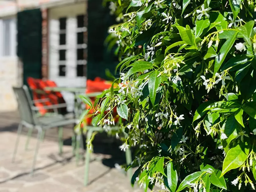 Immagine 26 di Casa colonica in vendita  a Capannori