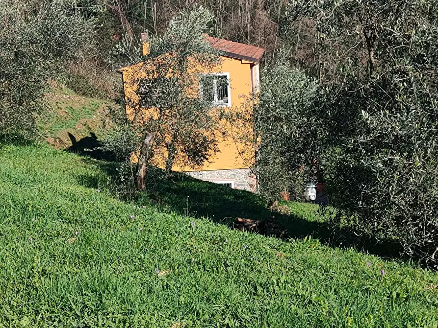 Immagine 31 di Casa colonica in vendita  a Capannori