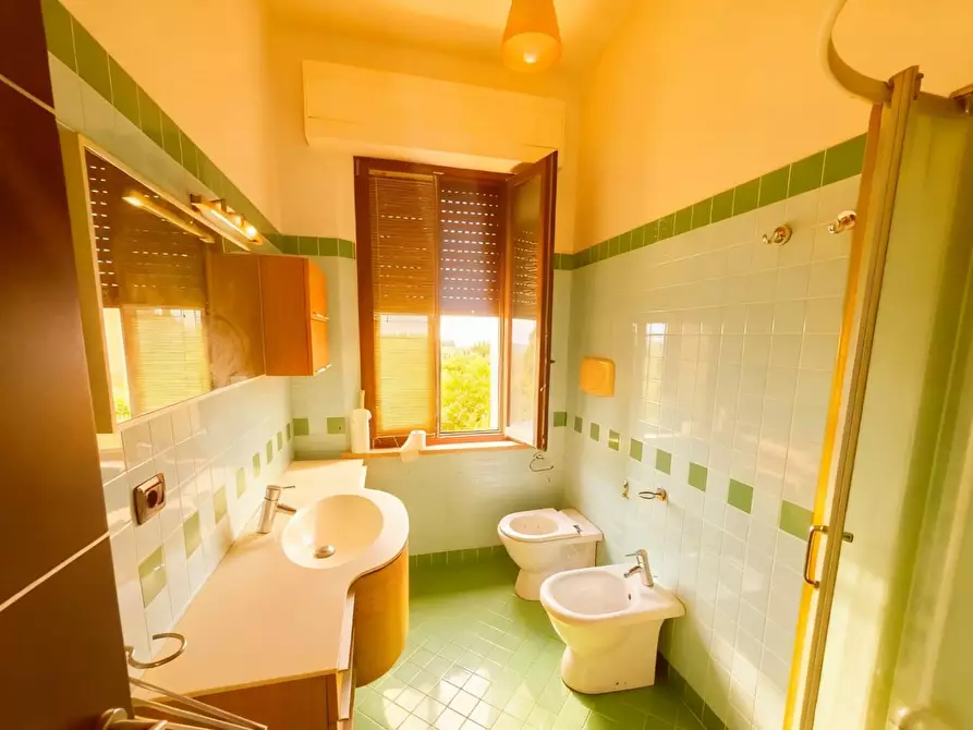 Immagine 15 di Appartamento in vendita  a Castelnuovo Berardenga