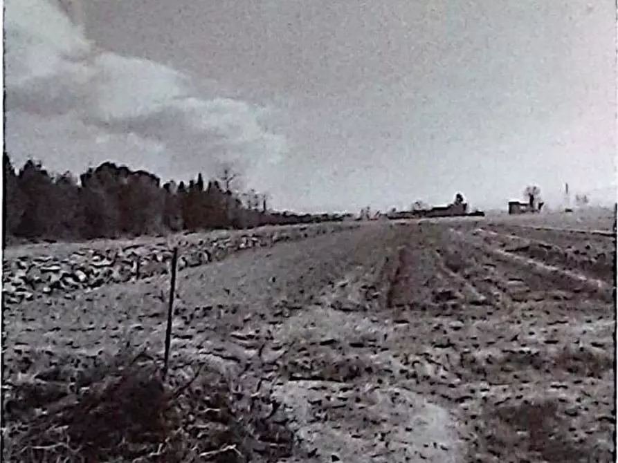 Immagine 5 di Appartamento in vendita  a Castelnuovo Scrivia