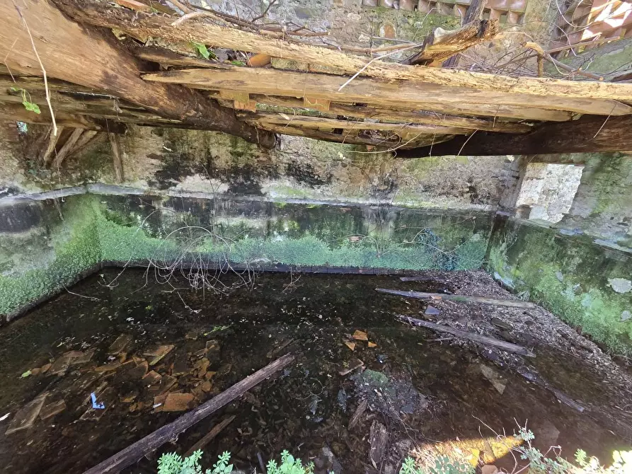 Immagine 5 di Deposito in vendita  a Capannori