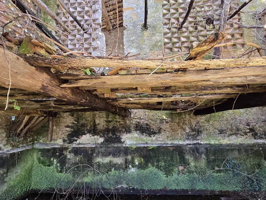 Immagine 6 di Deposito in vendita  a Capannori