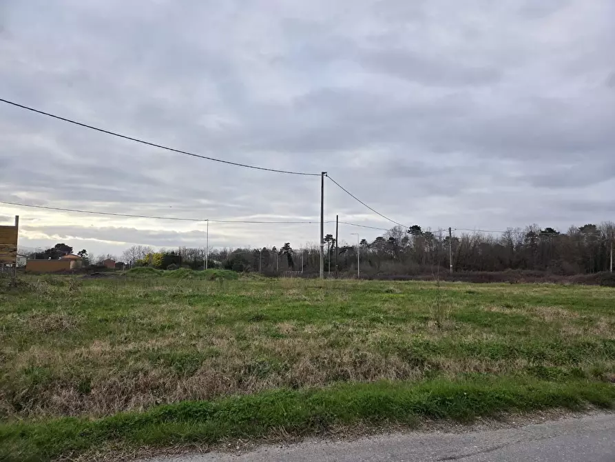 Immagine 3 di Terreno residenziale in vendita  a Castelfranco Di Sotto