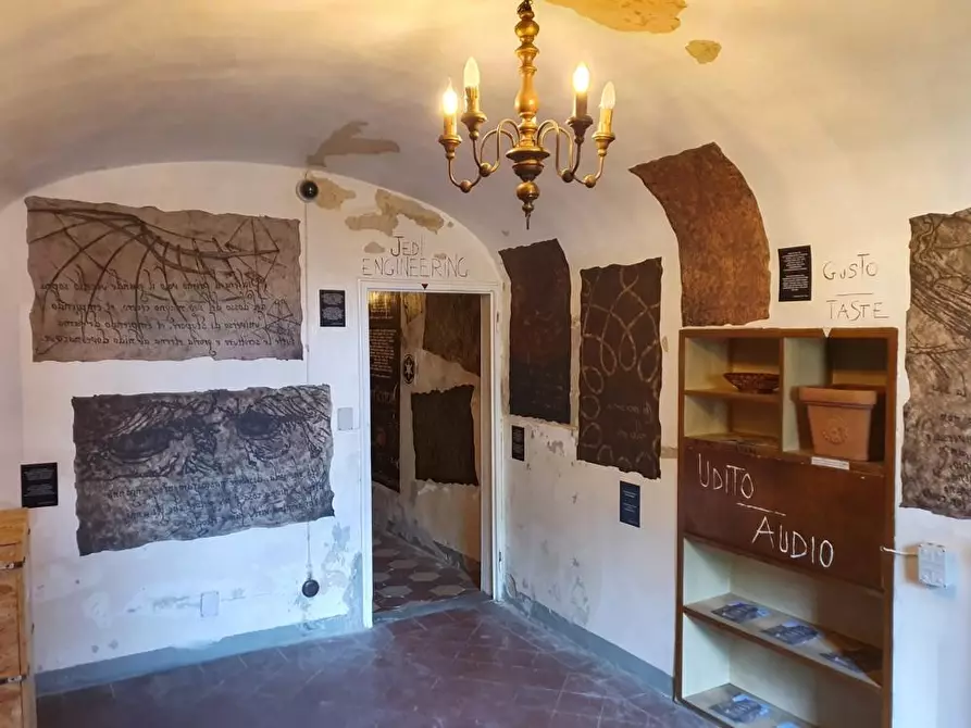 Immagine 11 di Terratetto in vendita  a Vinci