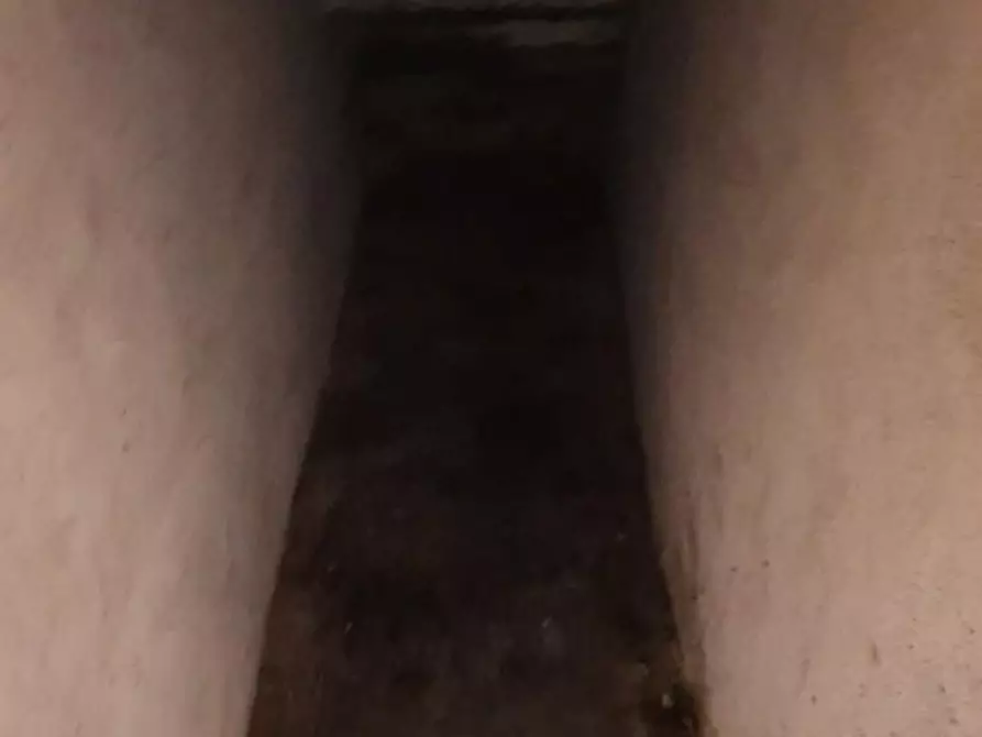 Immagine 9 di Terratetto in vendita  a Vinci