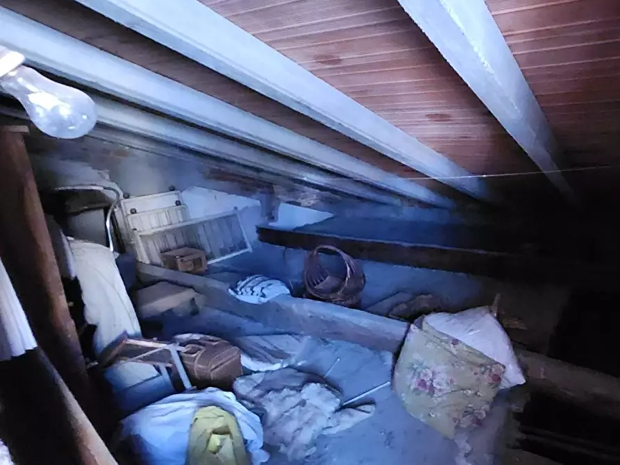 Immagine 31 di Terratetto in vendita  a Vinci