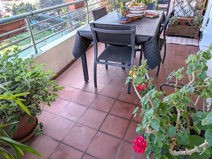 Immagine 5 di Appartamento in vendita  a Massa