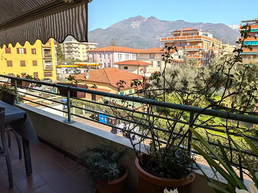 Immagine 9 di Appartamento in vendita  a Massa