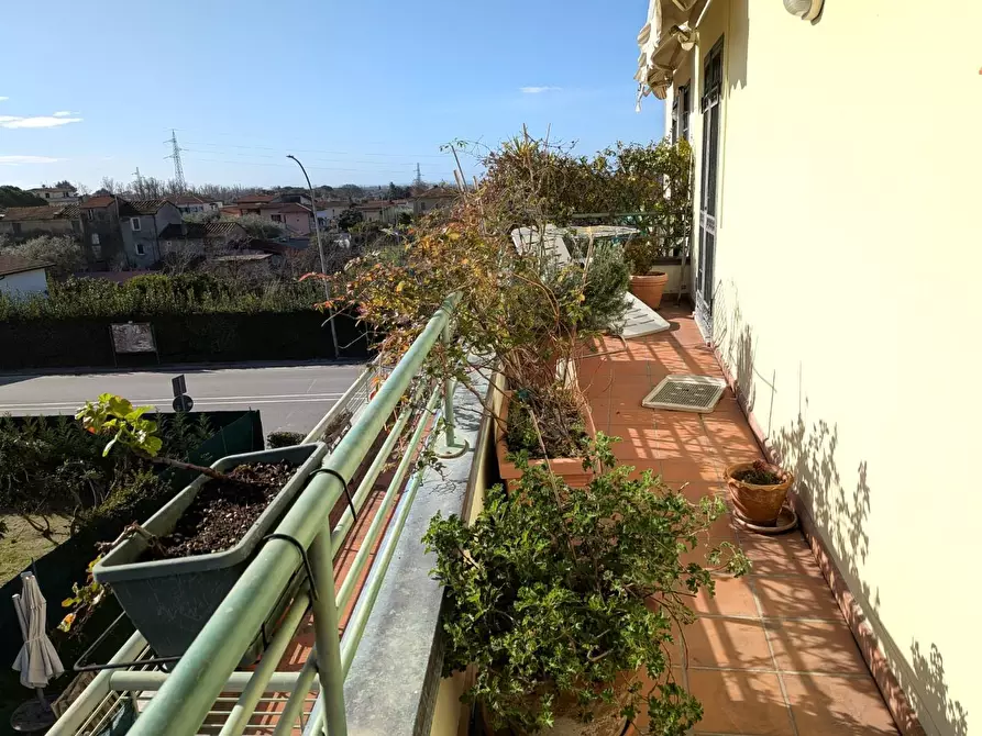 Immagine 14 di Appartamento in vendita  a Massa