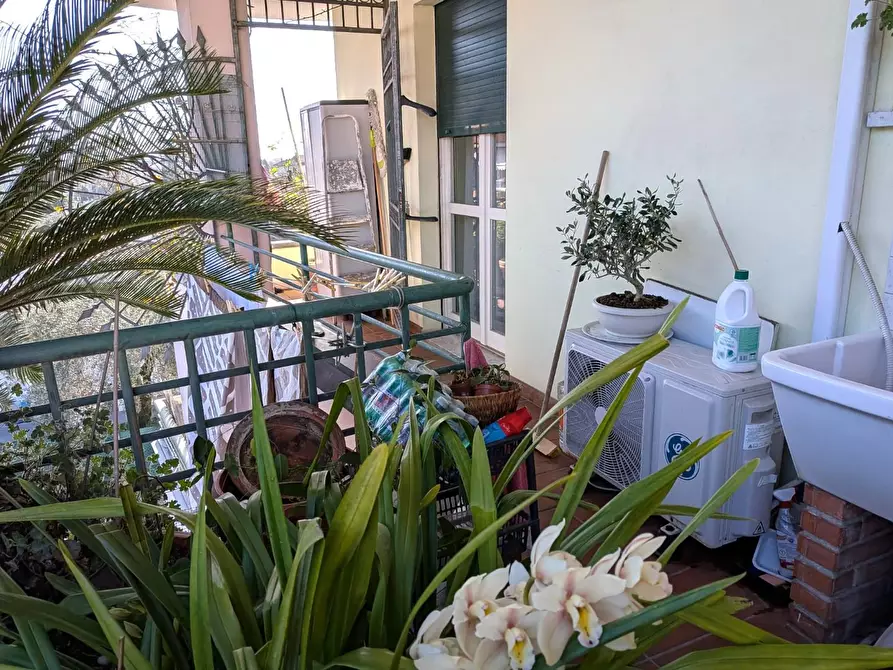 Immagine 11 di Appartamento in vendita  a Massa