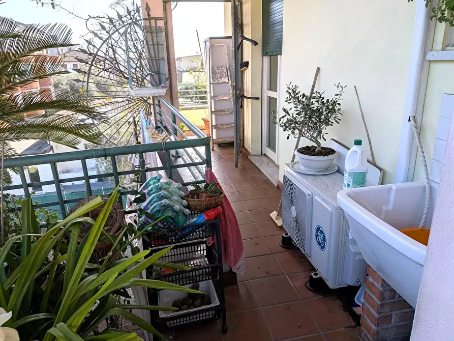 Immagine 12 di Appartamento in vendita  a Massa