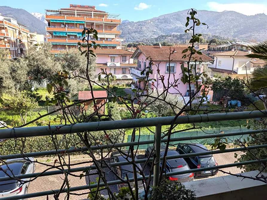 Immagine 10 di Appartamento in vendita  a Massa