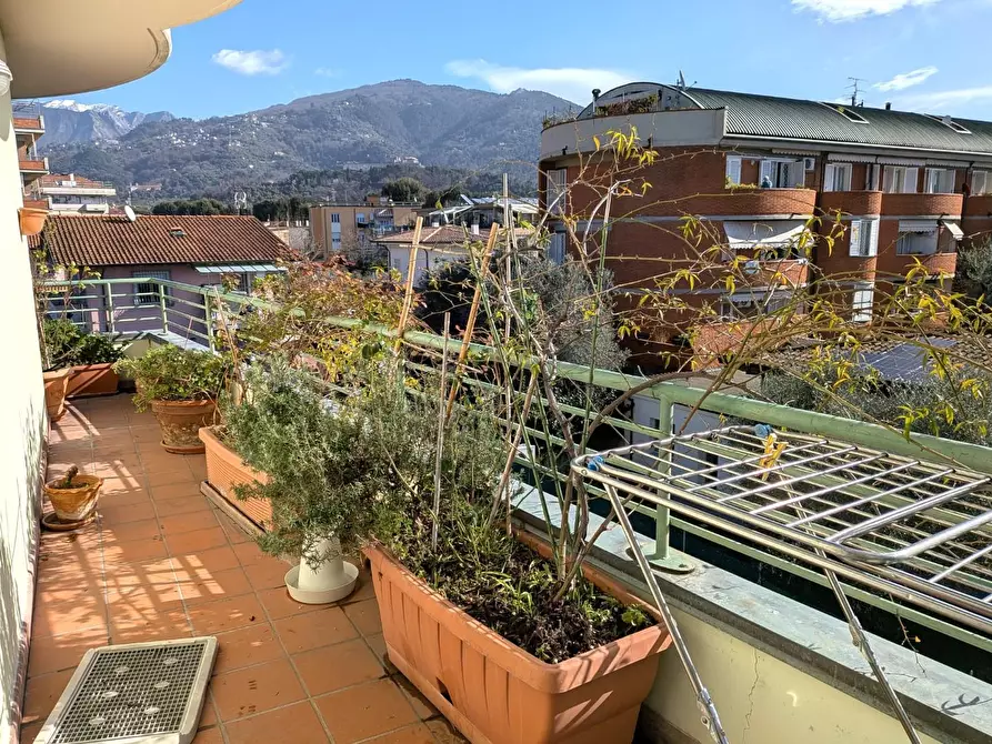 Immagine 17 di Appartamento in vendita  a Massa