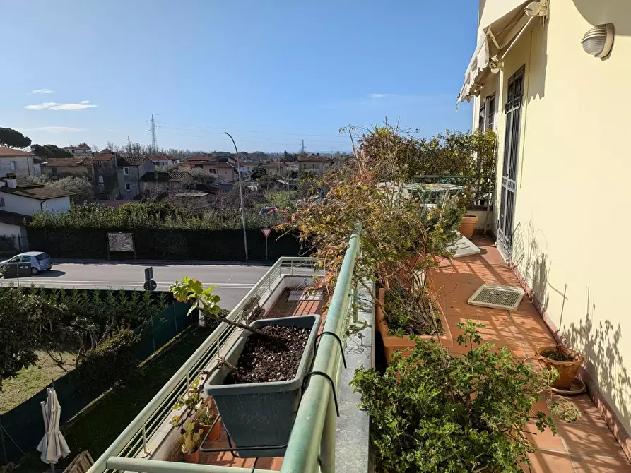 Immagine 15 di Appartamento in vendita  a Massa