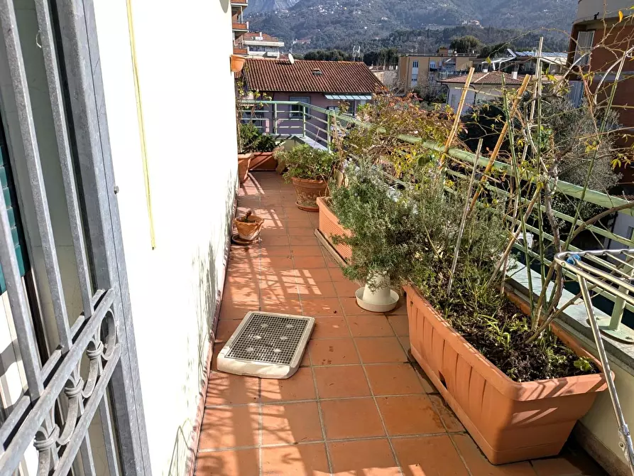 Immagine 16 di Appartamento in vendita  a Massa