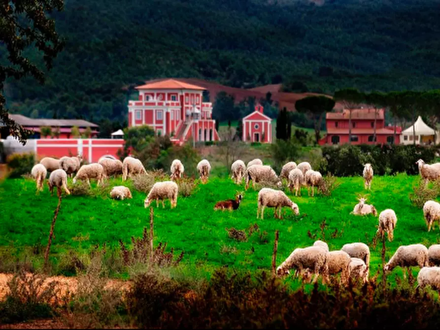 Immagine 4 di Albergo/B&B/Residence in vendita  a Grosseto