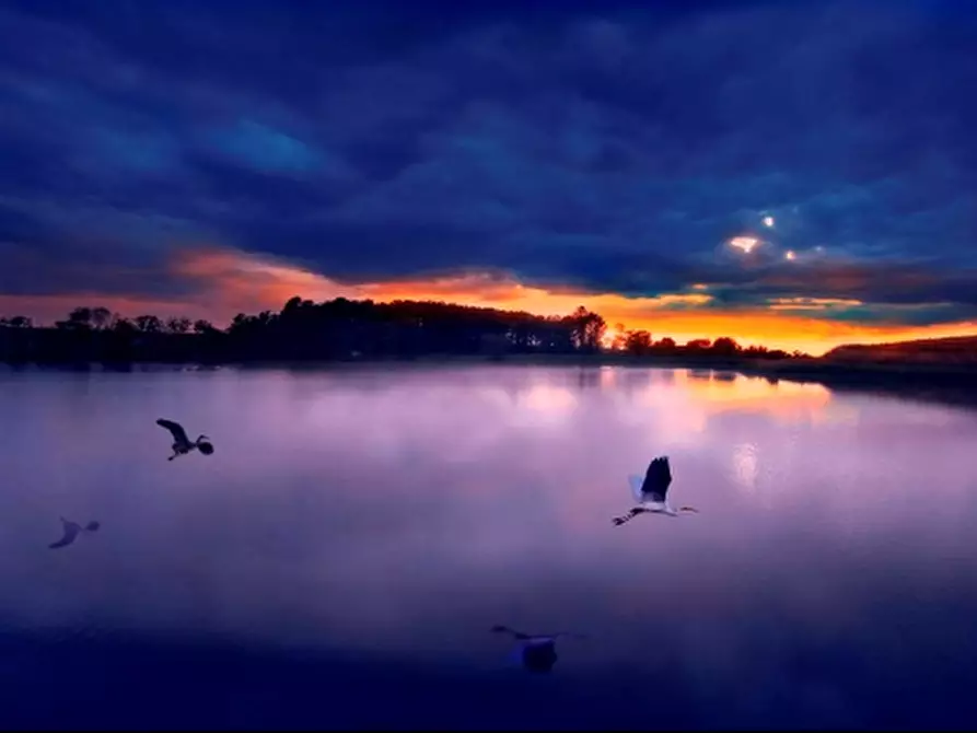 Immagine 2 di Albergo/B&B/Residence in vendita  a Grosseto