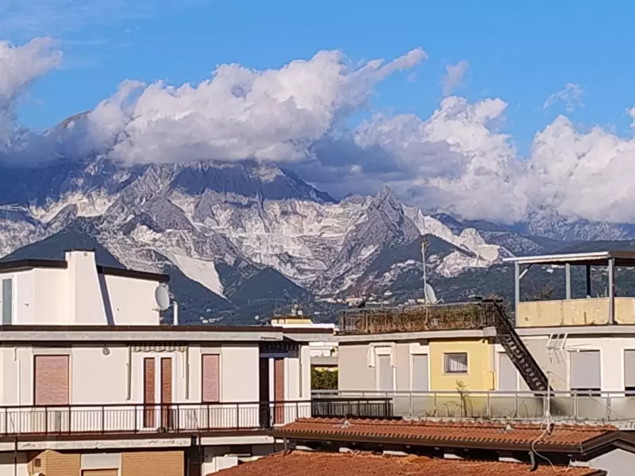 Immagine 14 di Appartamento in vendita  a Carrara