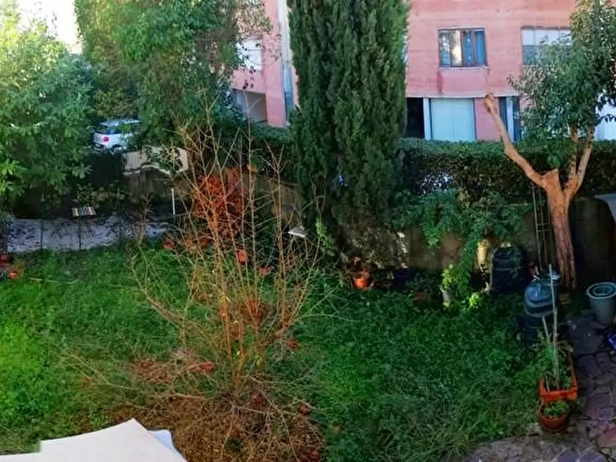 Immagine 14 di Terratetto in vendita  a Pisa