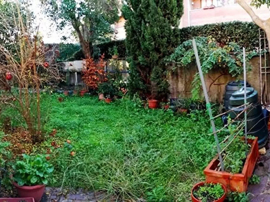 Immagine 16 di Terratetto in vendita  a Pisa