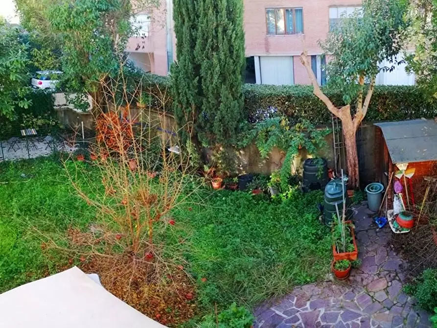 Immagine 15 di Terratetto in vendita  a Pisa