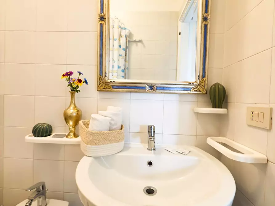 Immagine 12 di Appartamento in affitto  a Pisa