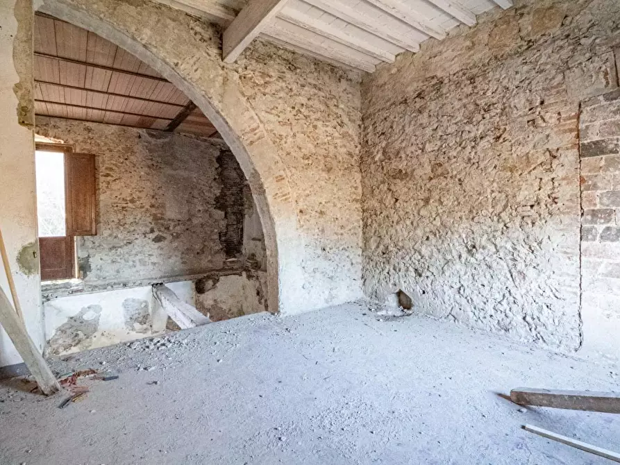 Immagine 21 di Appartamento in vendita  a Vecchiano