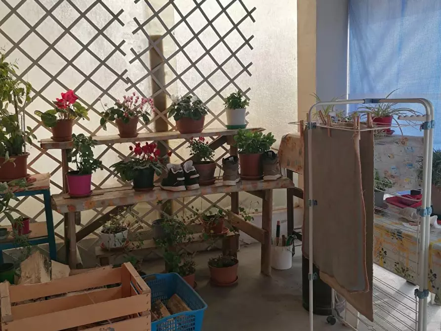 Immagine 3 di Terratetto in vendita  a Castellazzo Bormida