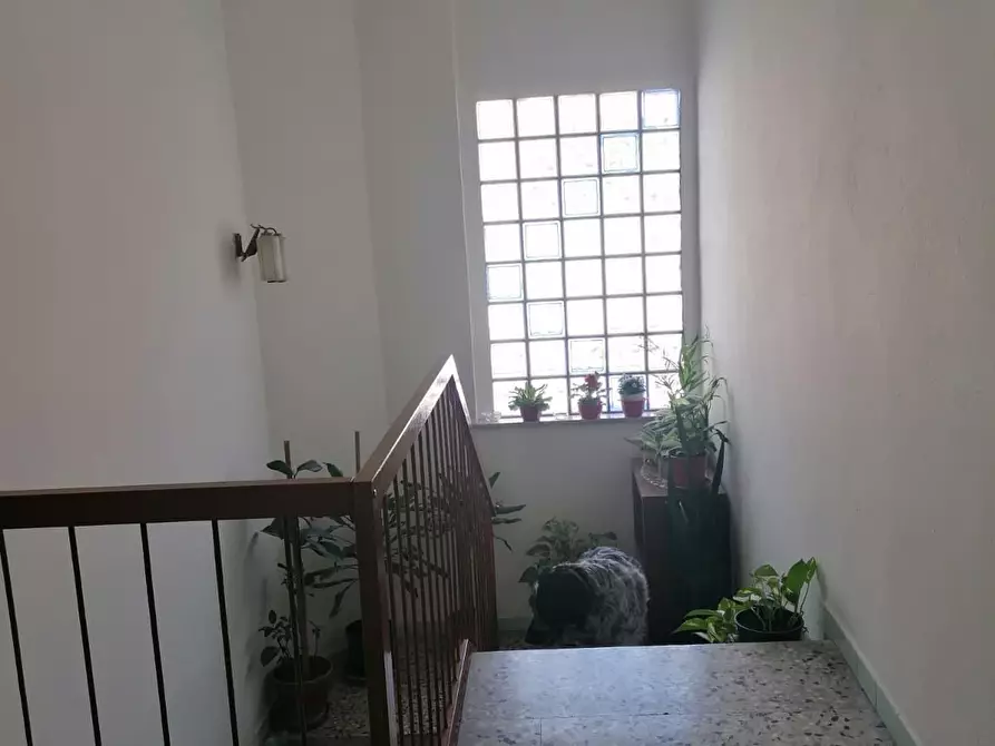 Immagine 14 di Terratetto in vendita  a Castellazzo Bormida