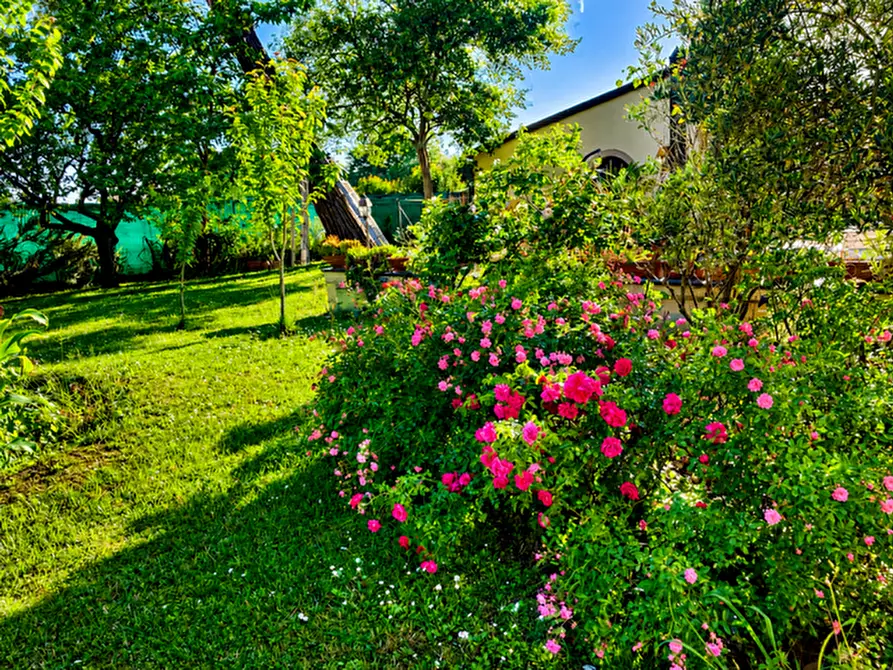 Immagine 5 di Villetta a schiera in vendita  a Cascina