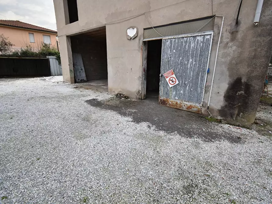 Immagine 4 di Casa indipendente in vendita  a Vecchiano