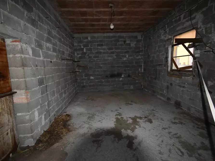 Immagine 11 di Casa indipendente in vendita  a Vecchiano