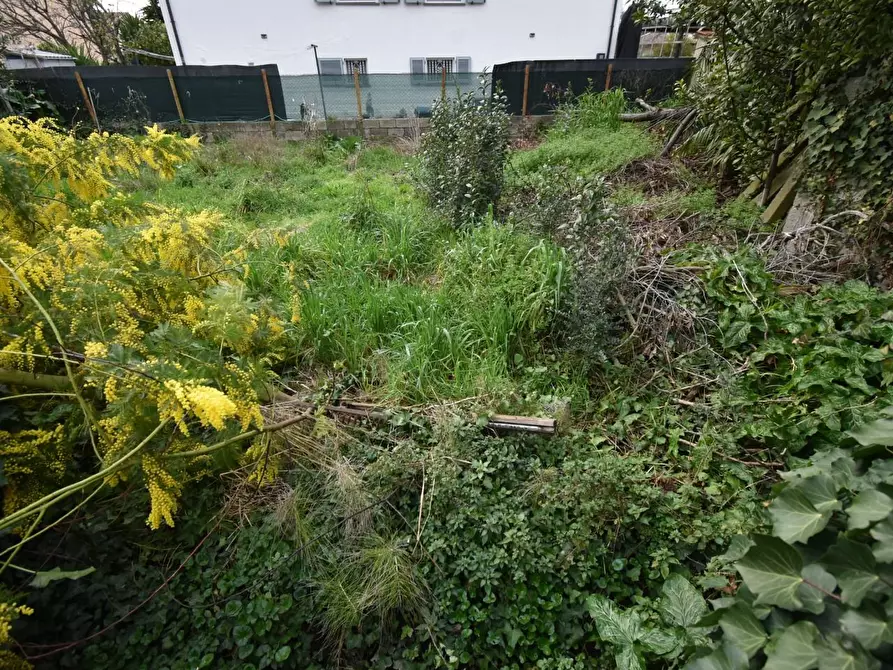 Immagine 15 di Casa indipendente in vendita  a Vecchiano