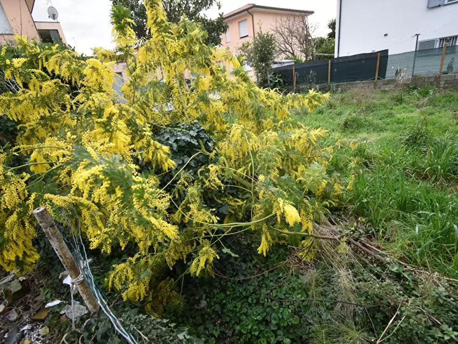 Immagine 16 di Casa indipendente in vendita  a Vecchiano