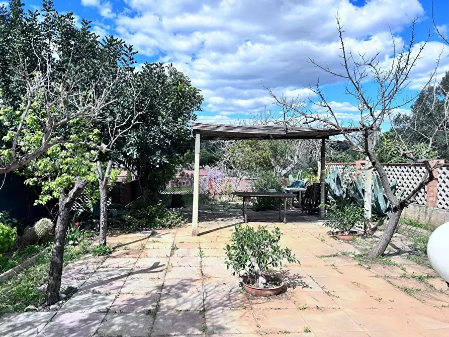 Immagine 1 di Villetta a schiera in vendita  a Piombino