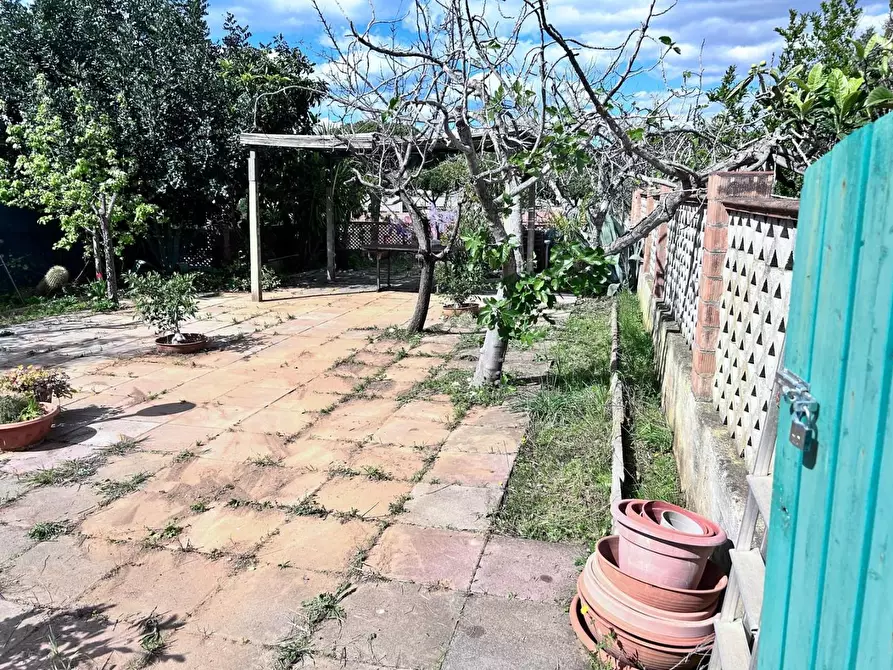 Immagine 3 di Villetta a schiera in vendita  a Piombino