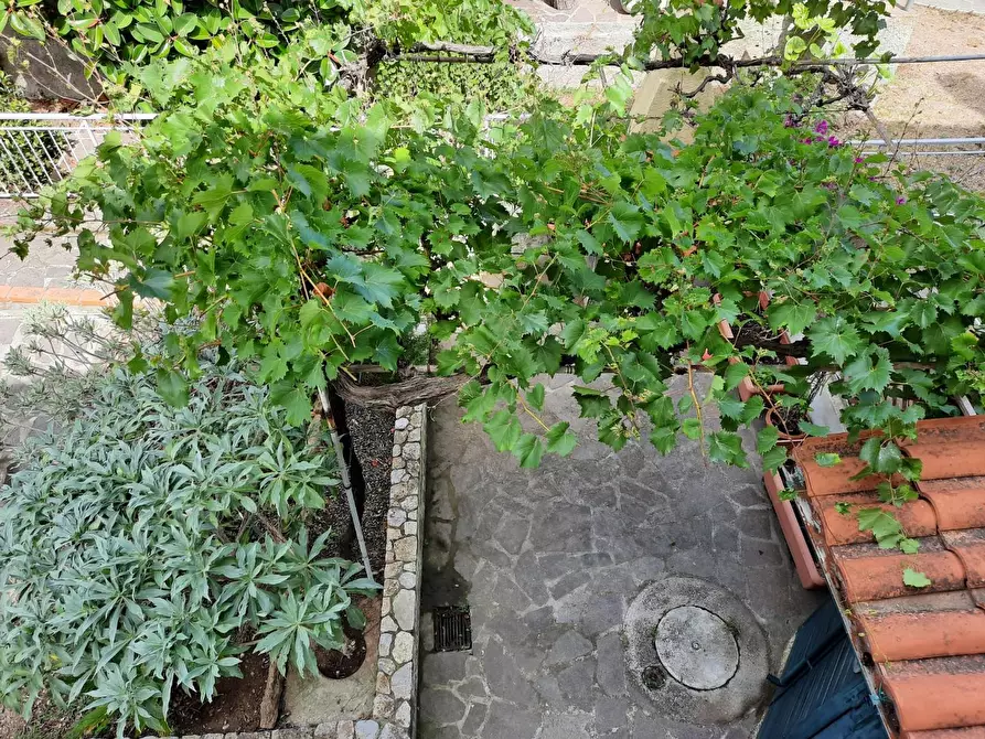 Immagine 39 di Appartamento in vendita  a Rio