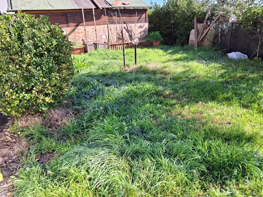 Immagine 11 di Appartamento in vendita  a Vinci