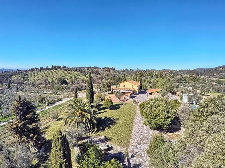Immagine 21 di Villa in vendita  a Campiglia Marittima
