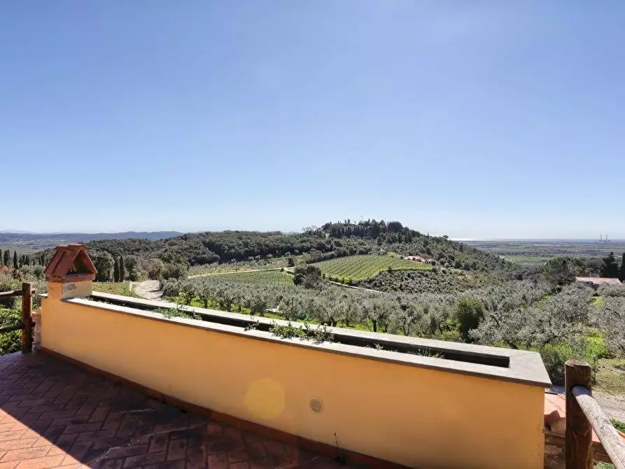 Immagine 18 di Villa in vendita  a Campiglia Marittima
