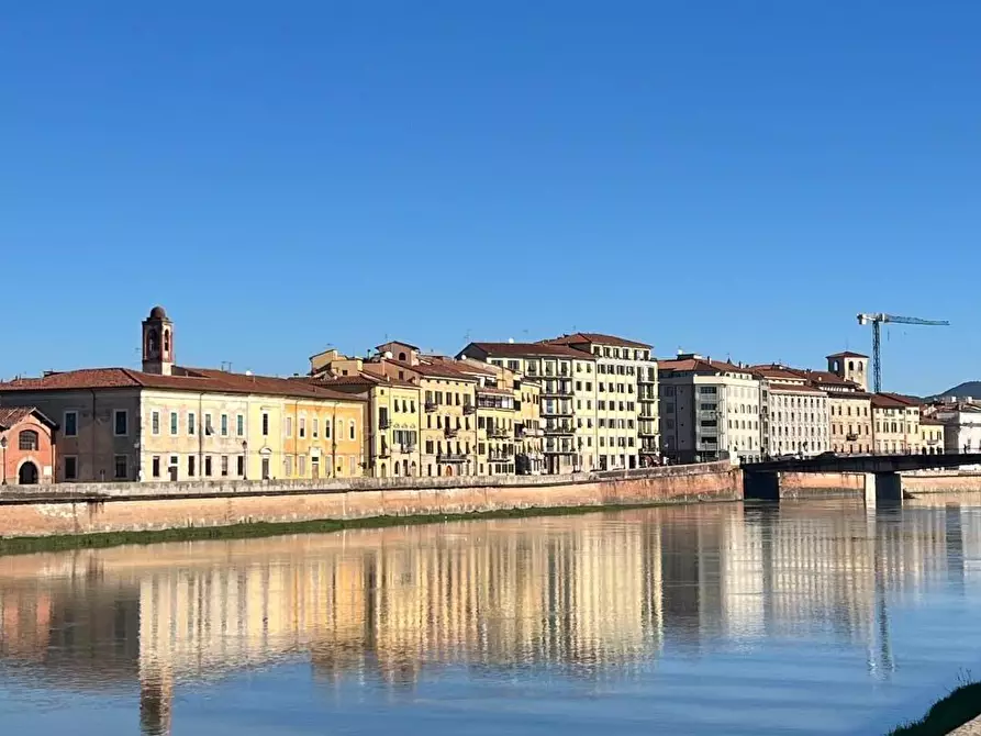 Immagine 9 di Villa in vendita  a Pisa