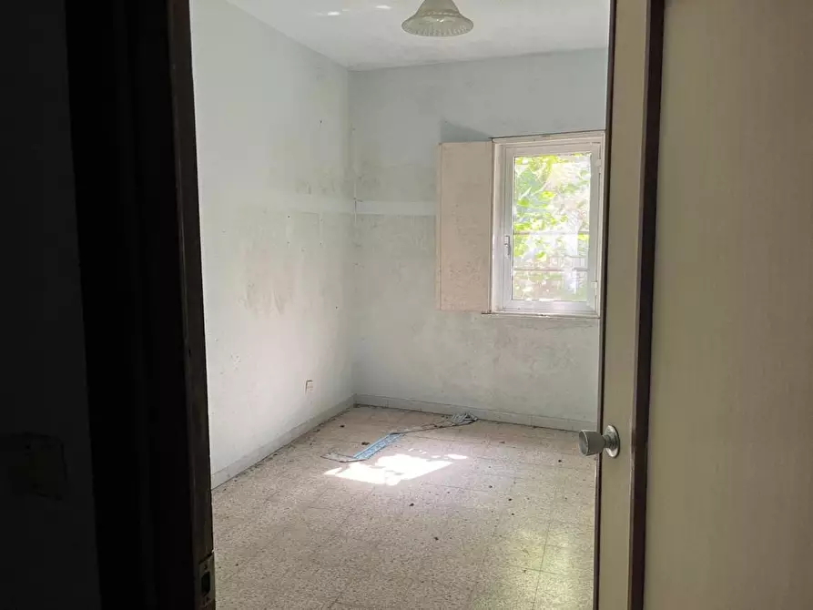 Immagine 13 di Appartamento in vendita  a Sant'agata Fossili